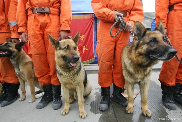 包含浙江队惊险击败黑龙江队，实现惊险胜利的词条