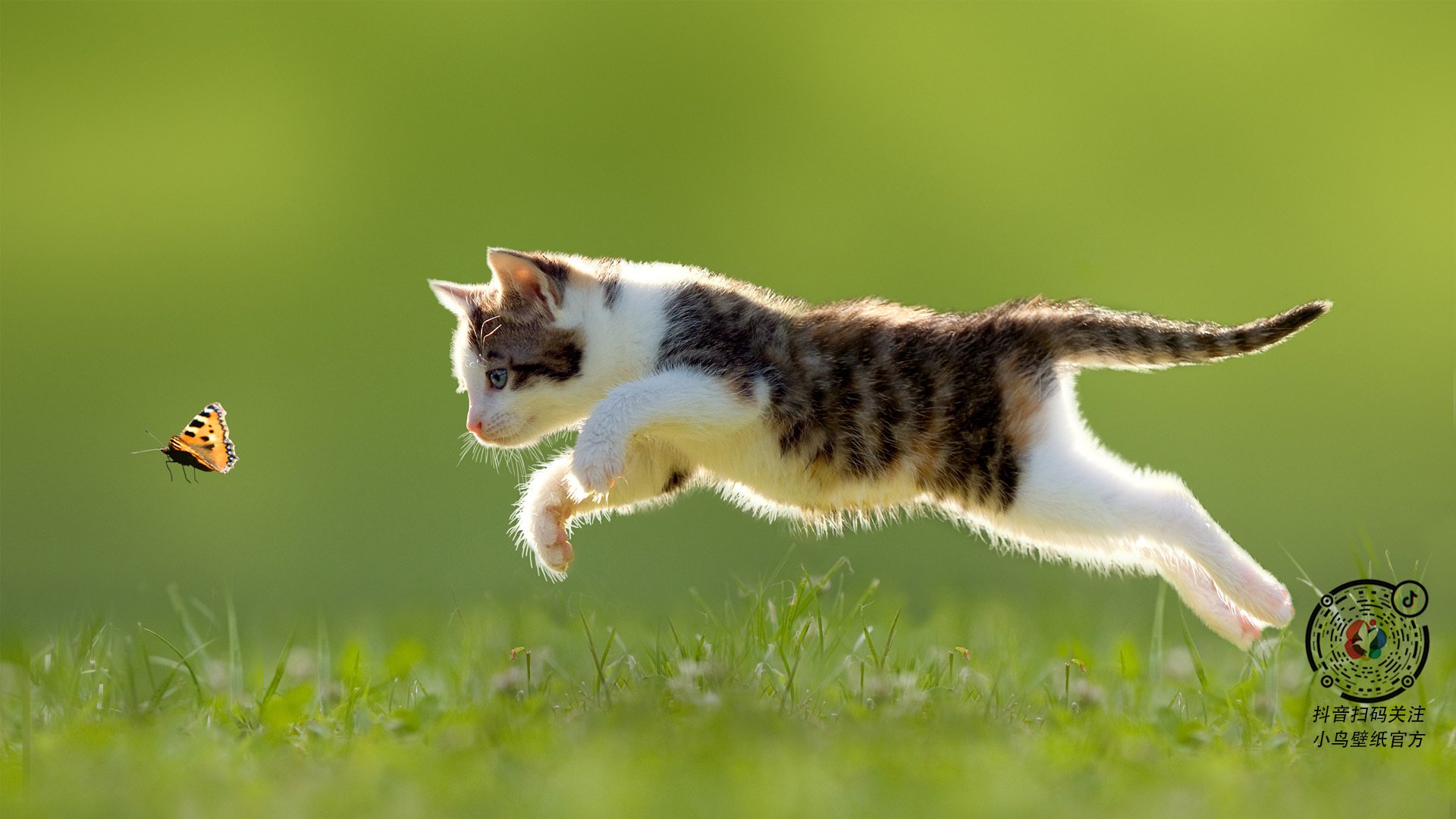 开云体育app-乌拉圭击败韩国，托尼攻防转换核心铸就胜利